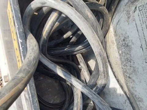 Ảnh Container Lạnh